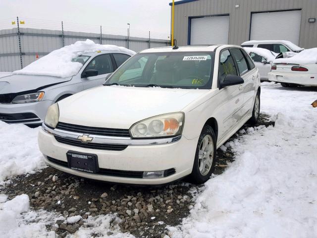 1G1ZU64885F187418 - 2005 CHEVROLET MALIBU MAX თეთრი ფოტო 2