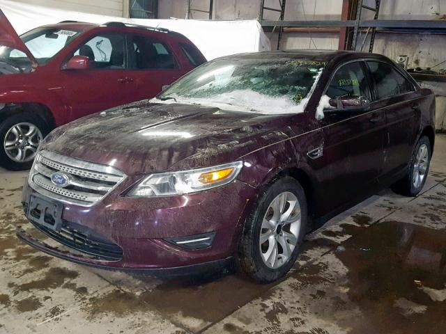 1FAHP2EW0BG168373 - 2011 FORD TAURUS SEL PURPLE photo 2