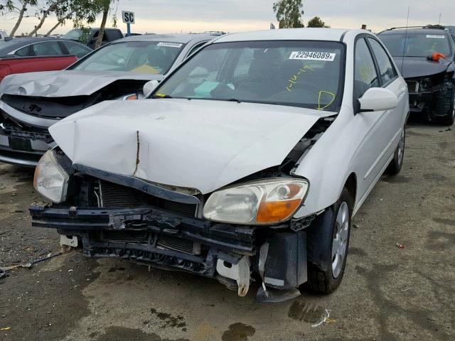 KNAFE122085565411 - 2008 KIA SPECTRA EX WHITE photo 2