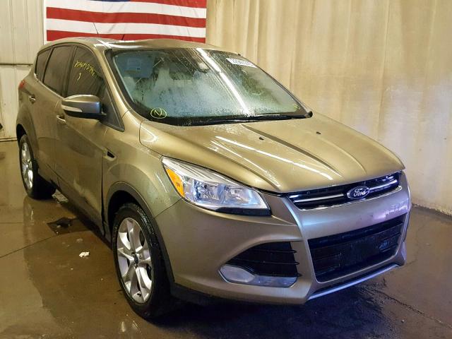 1FMCU0H93DUA10729 - 2013 FORD ESCAPE SEL 绿色 照片 1