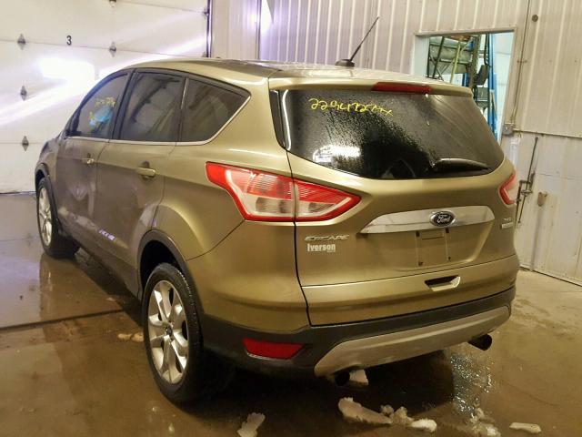 1FMCU0H93DUA10729 - 2013 FORD ESCAPE SEL 绿色 照片 3