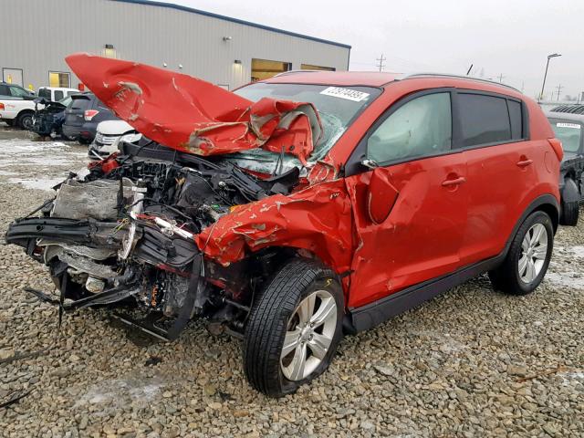 KNDPBCA29D7519037 - 2013 KIA SPORTAGE L RED photo 2