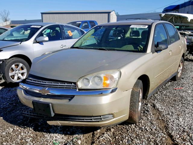 1G1ZT54815F211152 - 2005 CHEVROLET MALIBU LS GOLD photo 2