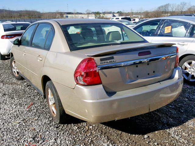 1G1ZT54815F211152 - 2005 CHEVROLET MALIBU LS GOLD photo 3