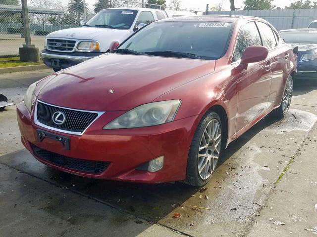 JTHBK262765000515 - 2006 LEXUS IS 250 RED photo 2