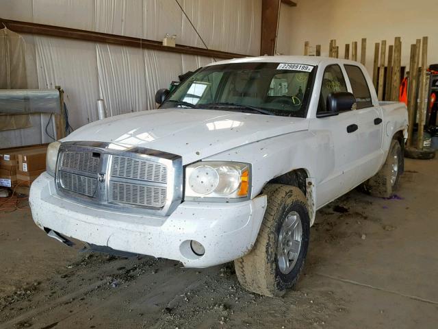 1D7HW48P67S245321 - 2007 DODGE DAKOTA QUA WHITE photo 2