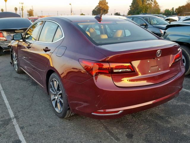 19UUB2F56GA012556 - 2016 ACURA TLX TECH BURGUNDY photo 3