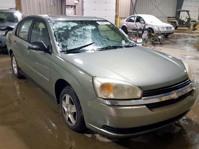 1G1ZT52854F135145 - 2004 CHEVROLET MALIBU LS მწვანე ფოტო 1