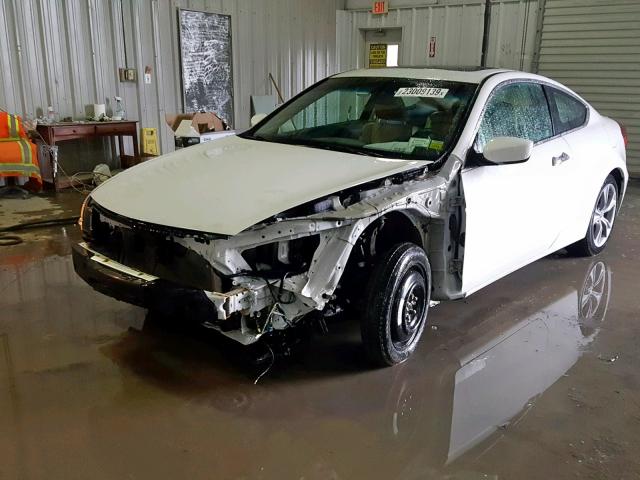 1HGCS2B80CA003938 - 2012 HONDA ACCORD EXL WHITE photo 2