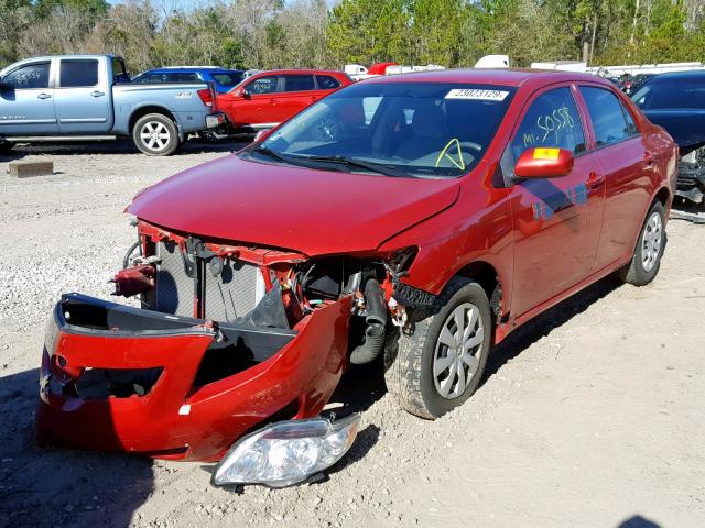 1NXBU4EE8AZ243702 - 2010 TOYOTA COROLLA BA RED photo 2