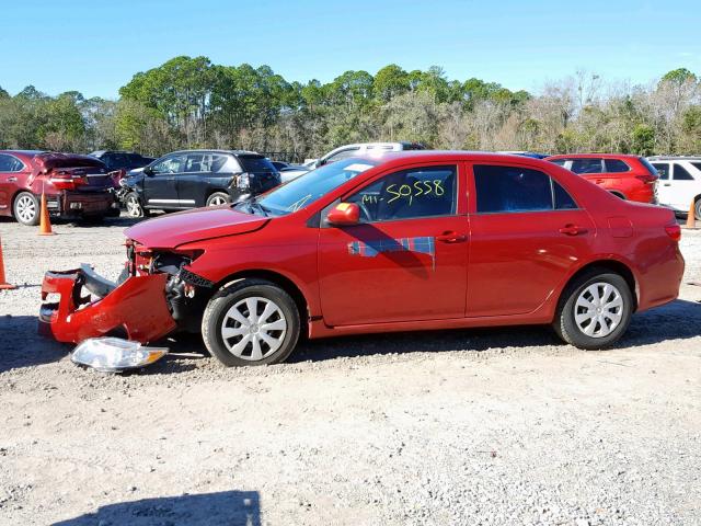 1NXBU4EE8AZ243702 - 2010 TOYOTA COROLLA BA RED photo 9