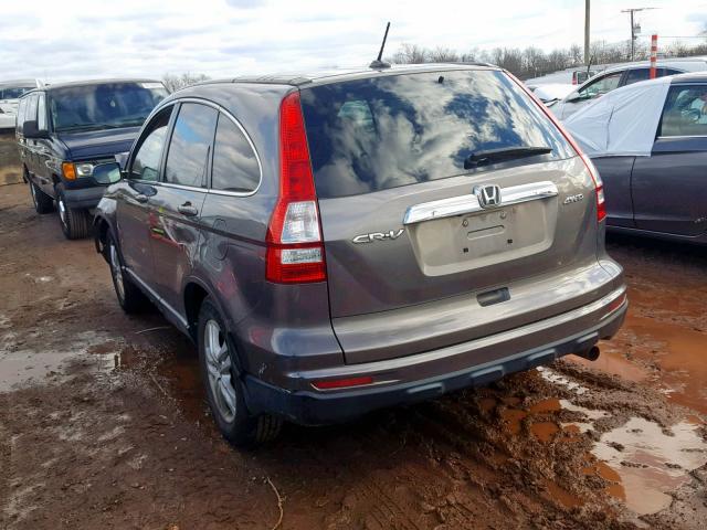 5J6RE4H70AL007784 - 2010 HONDA CR-V EXL BROWN photo 3