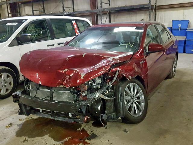 4T1BD1FK4FU151335 - 2015 TOYOTA CAMRY HYBR RED photo 2