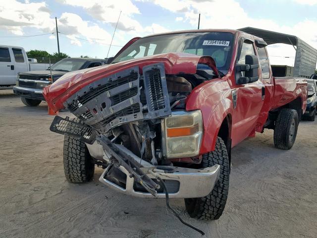 1FTSX21519EA66633 - 2009 FORD F250 SUPER RED photo 2