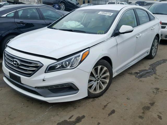 5NPE34AF5HH507420 - 2017 HYUNDAI SONATA SPO WHITE photo 2