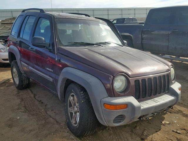 1J4GL48K04W292104 - 2004 JEEP LIBERTY SP PURPLE photo 1