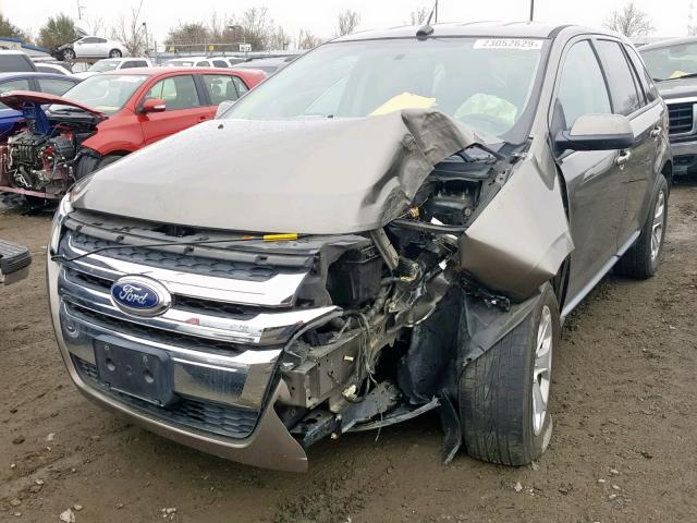 2FMDK3JC4CBA31028 - 2012 FORD EDGE SEL 金色 照片 2