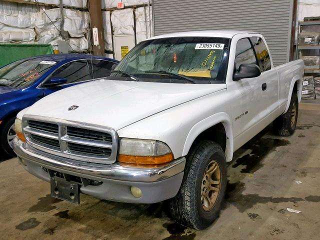 1B7GG42NX2S522670 - 2002 DODGE DAKOTA SLT WHITE photo 2