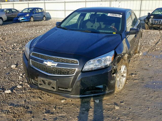 1G11C5SA7DF352924 - 2013 CHEVROLET MALIBU 1LT შავი ფოტო 2