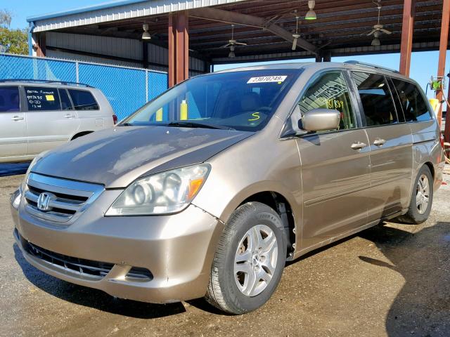 5FNRL38675B405015 - 2005 HONDA ODYSSEY EX GOLD photo 2