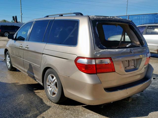 5FNRL38675B405015 - 2005 HONDA ODYSSEY EX GOLD photo 3
