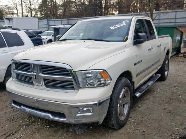 1D7RV1GT1AS226882 - 2010 DODGE RAM 1500 CREAM photo 2