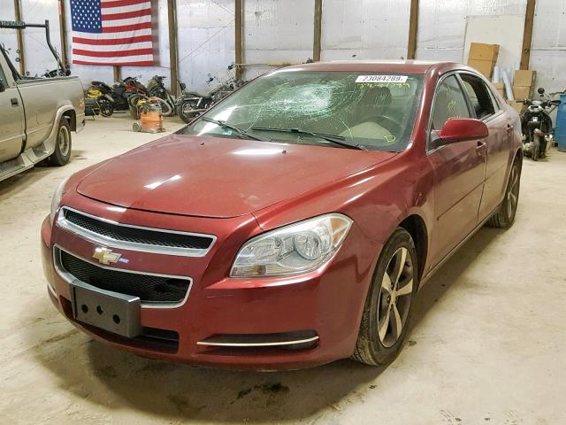 1G1ZJ57B19F252691 - 2009 CHEVROLET MALIBU 2LT BURGUNDY photo 2