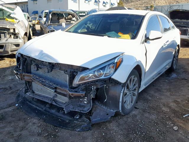 5NPE34AF6HH564046 - 2017 HYUNDAI SONATA SPO WHITE photo 2