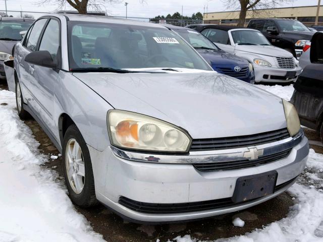 1G1ZT54834F189959 - 2004 CHEVROLET MALIBU LS ვერცხლისფერი ფოტო 1