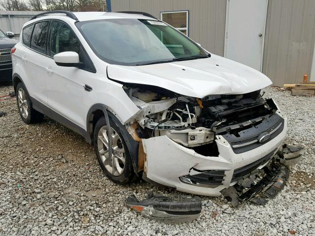 1FMCU0GX0EUE12550 - 2014 FORD ESCAPE SE 白色 照片 1