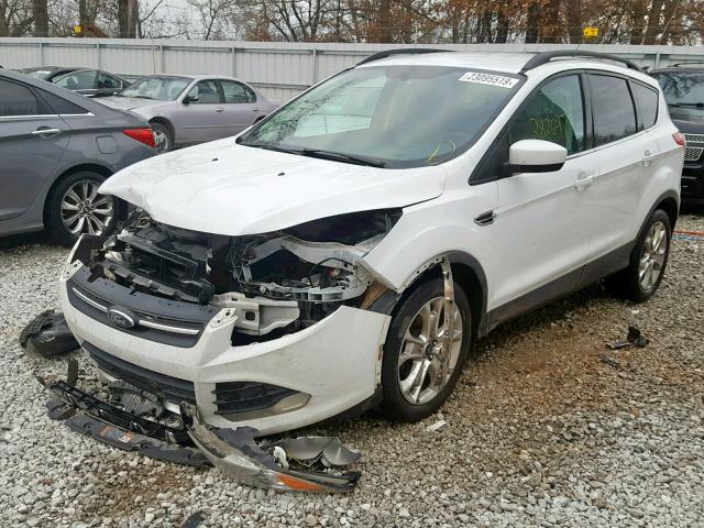 1FMCU0GX0EUE12550 - 2014 FORD ESCAPE SE 白色 照片 2