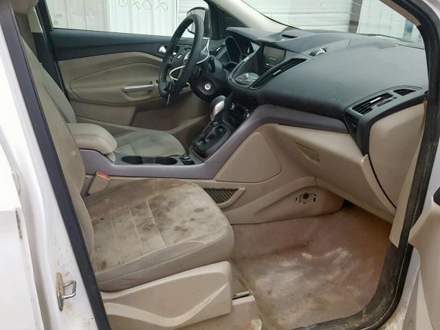 1FMCU0GX0EUE12550 - 2014 FORD ESCAPE SE 白色 照片 5