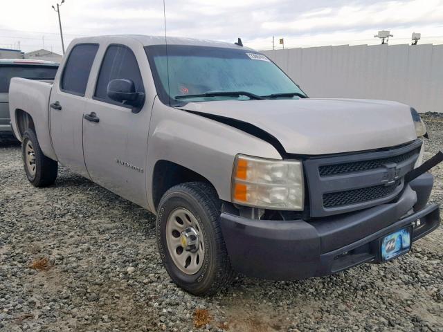 2GCEC13C381175142 - 2008 CHEVROLET SILVERADO SILVER photo 1