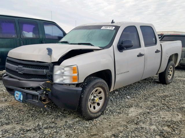 2GCEC13C381175142 - 2008 CHEVROLET SILVERADO SILVER photo 2