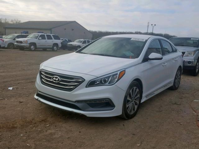 5NPE34AF0FH051565 - 2015 HYUNDAI SONATA SPO WHITE photo 2