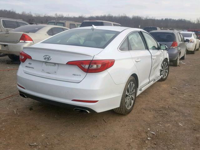 5NPE34AF0FH051565 - 2015 HYUNDAI SONATA SPO WHITE photo 4