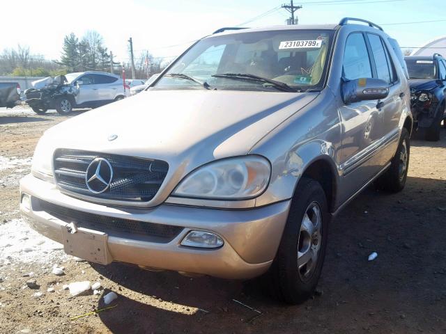 4JGAB57E73A415159 - 2003 MERCEDES-BENZ ML 350 GOLD photo 2