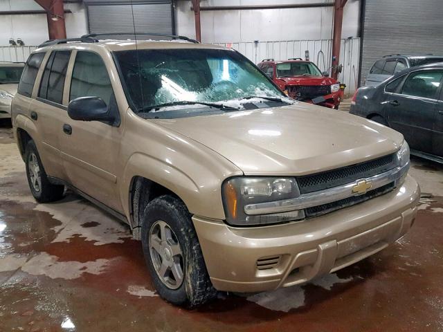 1GNDS13SX62115854 - 2006 CHEVROLET TRAILBLAZE GOLD photo 1