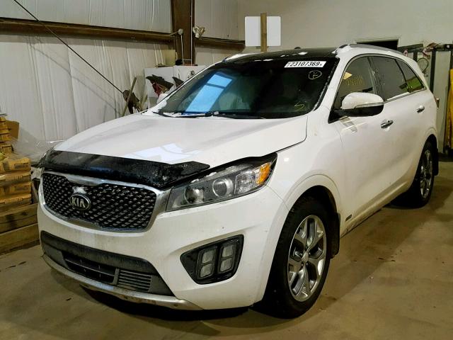 5XYPKDA53GG101080 - 2016 KIA SORENTO SX WHITE photo 2