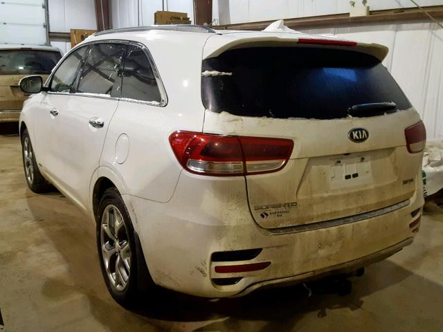 5XYPKDA53GG101080 - 2016 KIA SORENTO SX WHITE photo 3