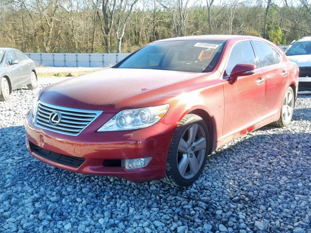 JTHBL5EF8C5113078 - 2012 LEXUS LS 460 BURGUNDY photo 2
