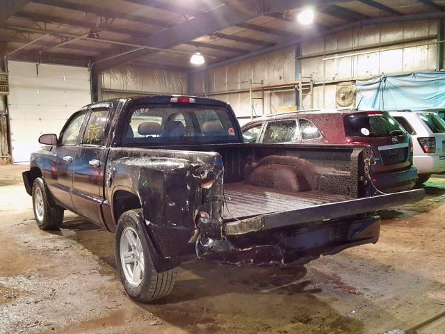 1D7HE38K58S621655 - 2008 DODGE DAKOTA SXT BLACK photo 3