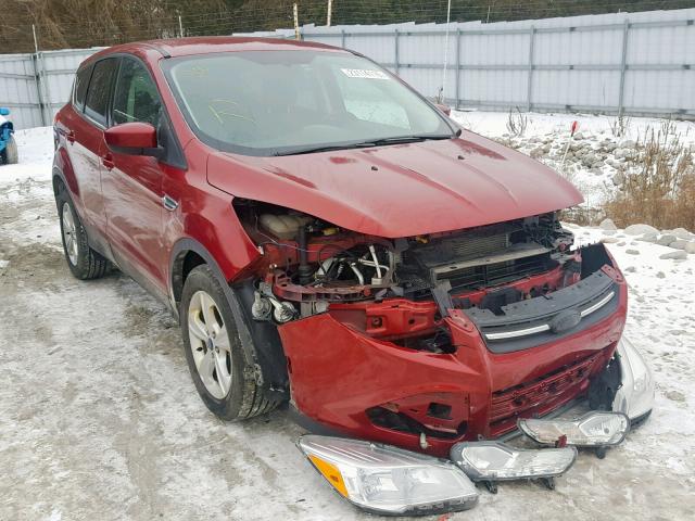 1FMCU9GX7DUB86767 - 2013 FORD ESCAPE SE RED photo 1