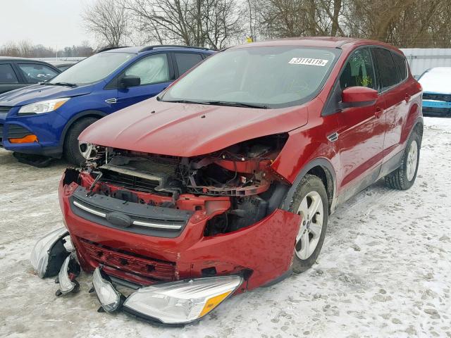 1FMCU9GX7DUB86767 - 2013 FORD ESCAPE SE RED photo 2