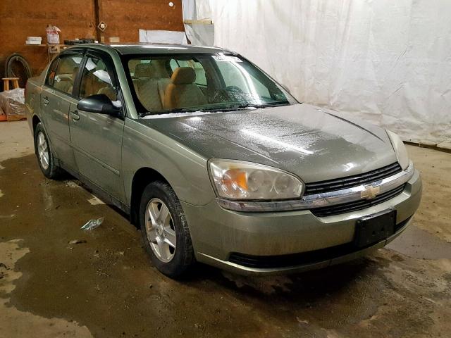 1G1ZT52854F220065 - 2004 CHEVROLET MALIBU LS 绿色 照片 1