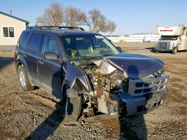 1FMCU0D79AKA31600 - 2010 FORD ESCAPE XLT GRAY photo 1