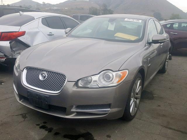 SAJWA0GB8BLR95483 - 2011 JAGUAR XF PREMIUM BROWN photo 2