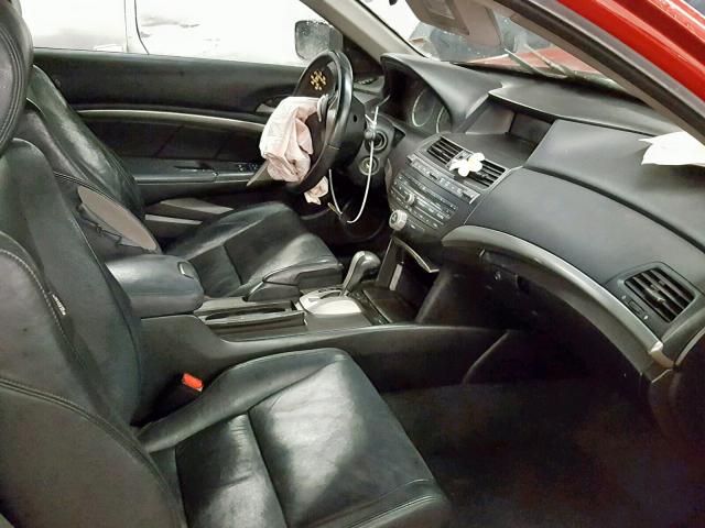 1HGCS1B86AA019231 - 2010 HONDA ACCORD EXL 红色 照片 5