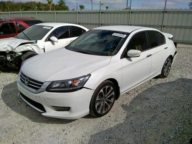 1HGCR2F59FA243831 - 2015 HONDA ACCORD SPO WHITE photo 2