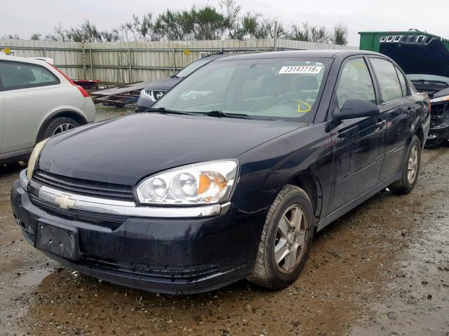 1G1ZT528X4F116624 - 2004 CHEVROLET MALIBU LS Қара фото 2